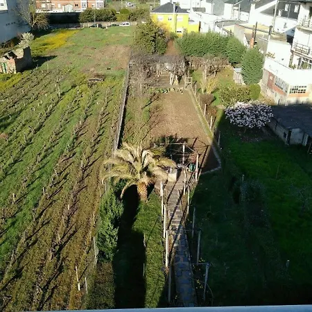 Mayo 2*